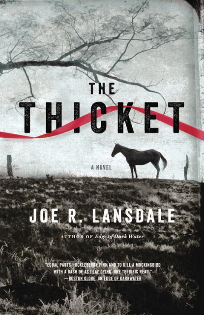 The Thicket