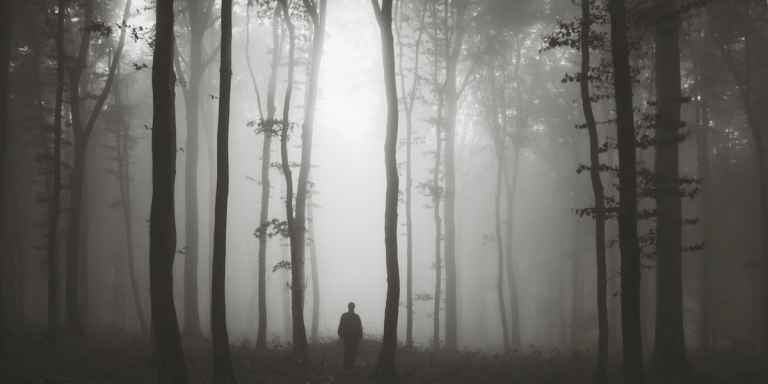DontGoIntoTheWoods_NovelSuspects