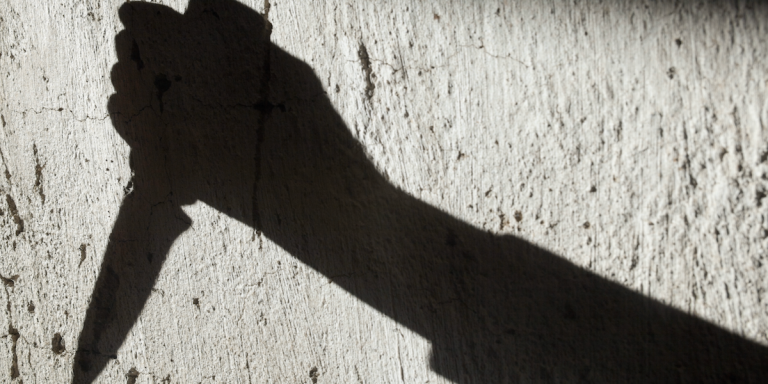 The Insatiable Appetite for True Crime, Even in Fiction