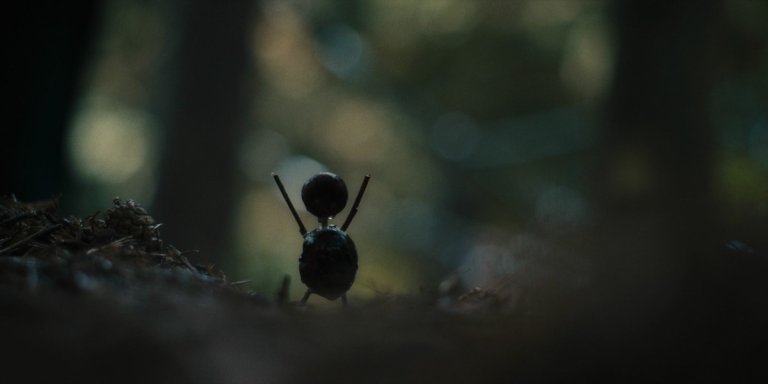 The Chestnut Man (Netflix)